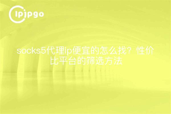 socks5代理ip便宜的怎么找?性价比平台的筛选方法