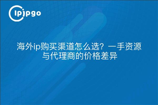 海外ip购买渠道怎么选？一手资源与代理商的价格差异