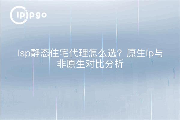 isp静态住宅代理怎么选?原生ip与非原生对比分析