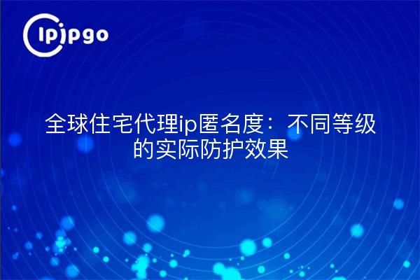 全球住宅代理ip匿名度：不同等级的实际防护效果