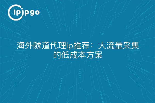 海外隧道代理ip推荐：大流量采集的低成本方案