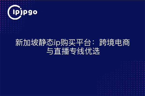 新加坡静态ip购买平台:跨境电商与直播专线优选