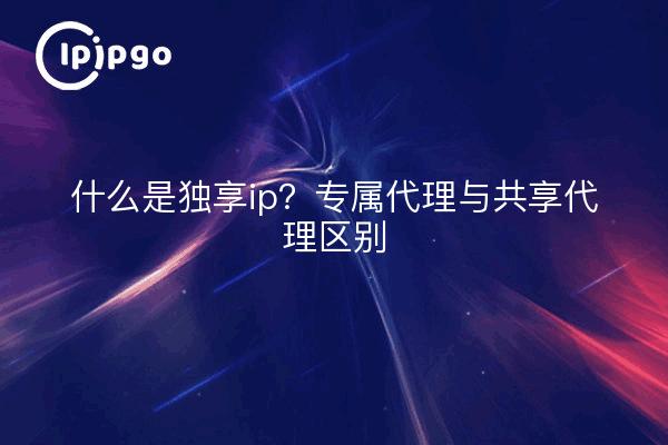 什么是独享ip?专属代理与共享代理区别