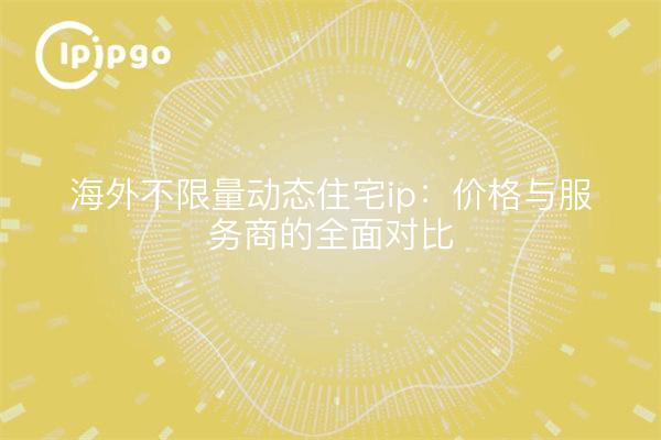 海外不限量动态住宅ip:价格与服务商的全面对比