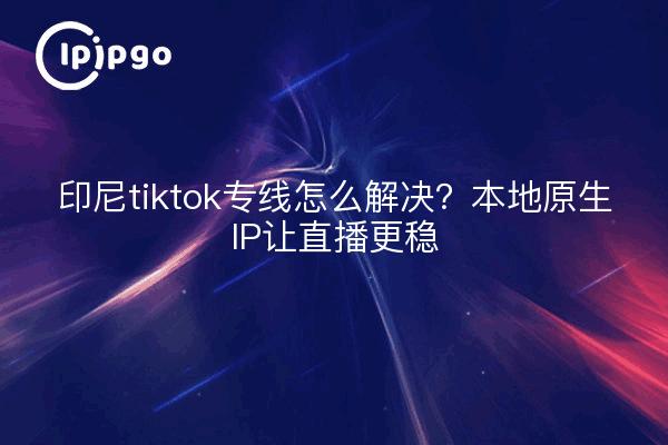 印尼tiktok专线怎么解决?本地原生IP让直播更稳