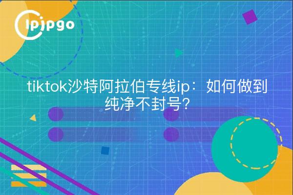 tiktok沙特阿拉伯专线ip:如何做到纯净不封号?