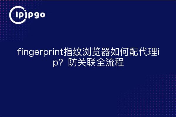 fingerprint指纹浏览器如何配代理ip?防关联全流程