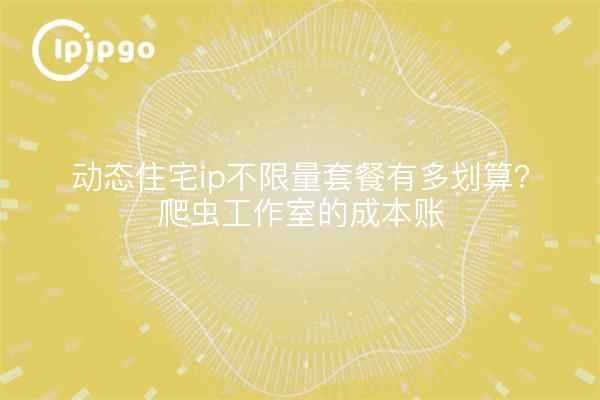 动态住宅ip不限量套餐有多划算？爬虫工作室的成本账