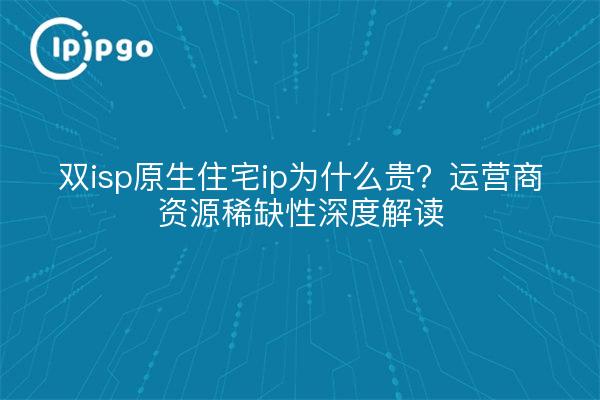 双isp原生住宅ip为什么贵？运营商资源稀缺性深度解读