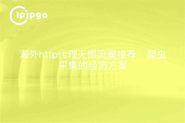 海外http代理无限流量推荐：爬虫采集的经济方案