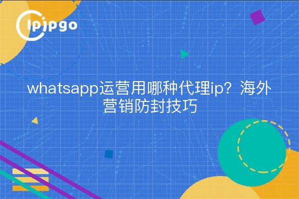 whatsapp运营用哪种代理ip?海外营销防封技巧