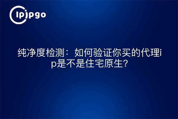 纯净度检测：如何验证你买的代理ip是不是住宅原生？