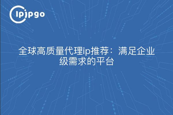 全球高质量代理ip推荐：满足企业级需求的平台