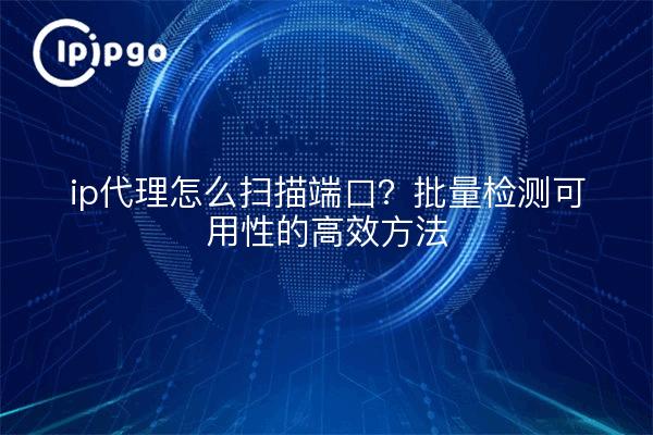 ip代理怎么扫描端口?批量检测可用性的高效方法