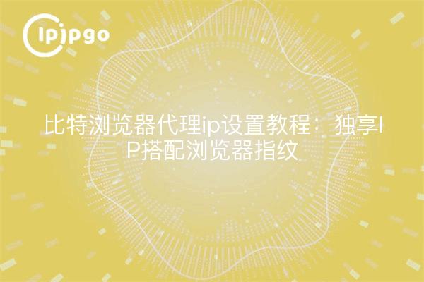 比特浏览器代理ip设置教程:独享IP搭配浏览器指纹
