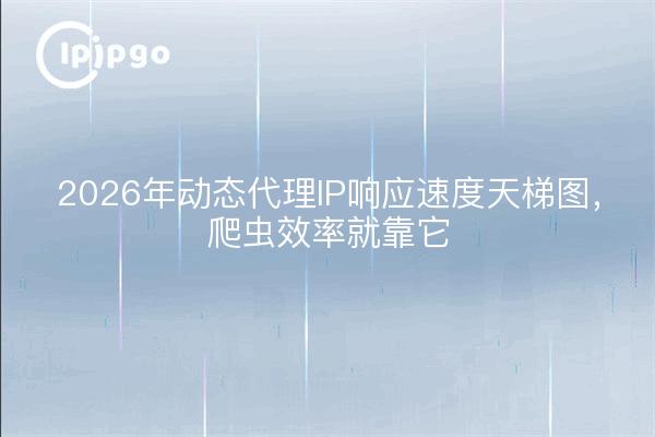 2026年动态代理IP响应速度天梯图,爬虫效率就靠它
