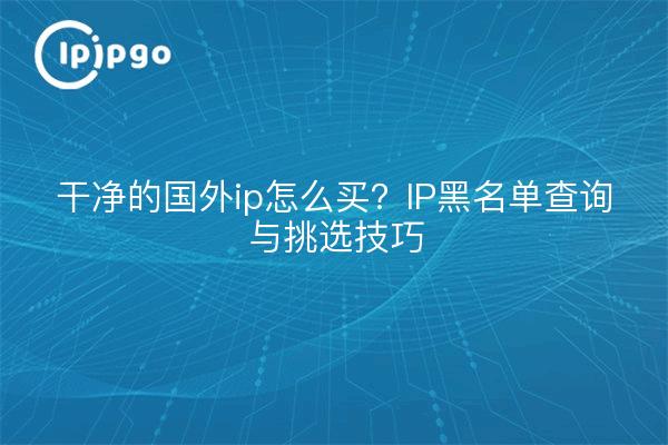 干净的国外ip怎么买？IP黑名单查询与挑选技巧