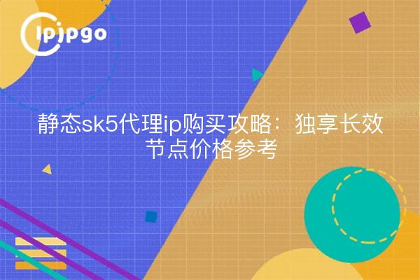 静态sk5代理ip购买攻略：独享长效节点价格参考