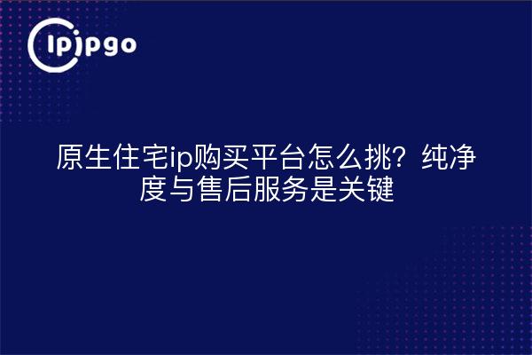 原生住宅ip购买平台怎么挑？纯净度与售后服务是关键