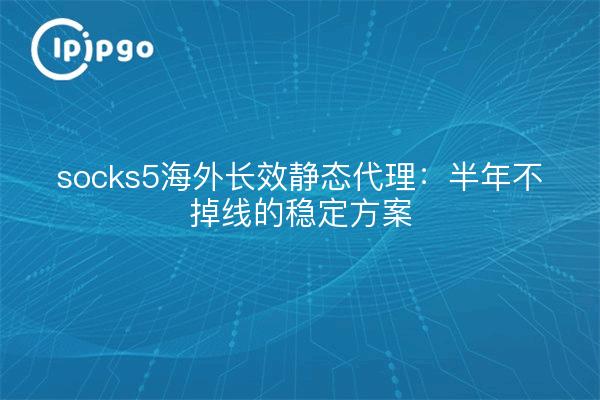 socks5海外长效静态代理：半年不掉线的稳定方案