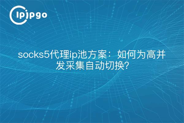 socks5代理ip池方案:如何为高并发采集自动切换?