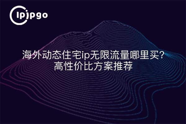 海外动态住宅ip无限流量哪里买？高性价比方案推荐