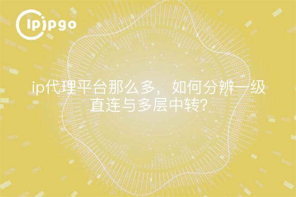 ip代理平台那么多,如何分辨一级直连与多层中转?