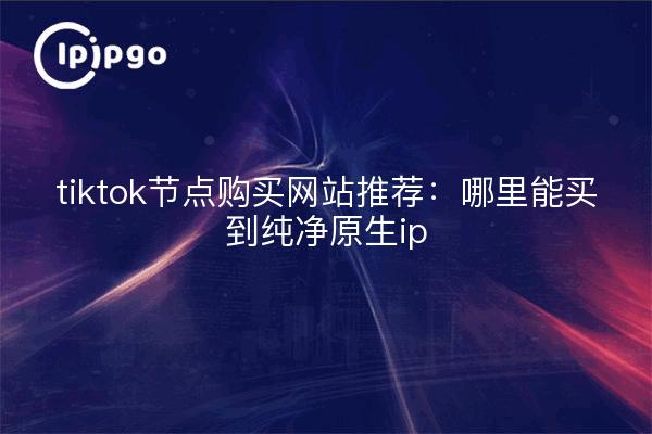tiktok节点购买网站推荐：哪里能买到纯净原生ip