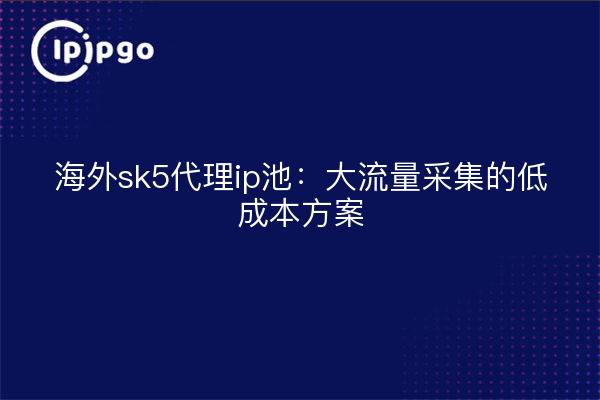 海外sk5代理ip池：大流量采集的低成本方案