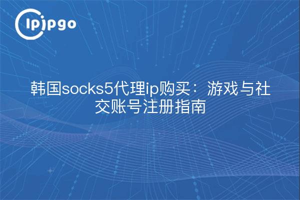 韩国socks5代理ip购买:游戏与社交账号注册指南