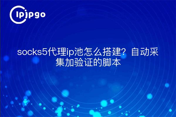 socks5代理ip池怎么搭建?自动采集加验证的脚本