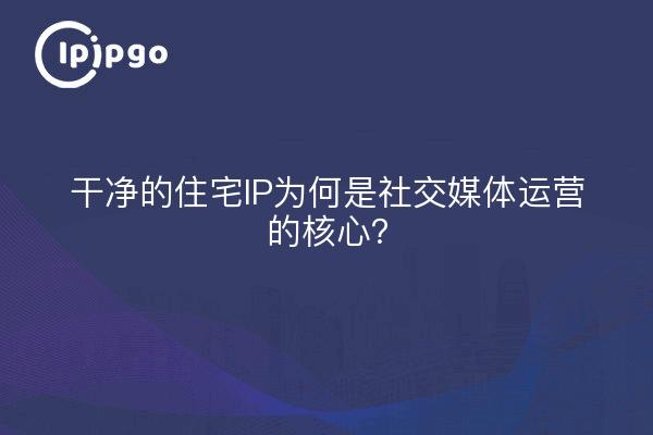 干净的住宅IP为何是社交媒体运营的核心?