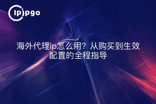 海外代理ip怎么用?从购买到生效配置的全程指导