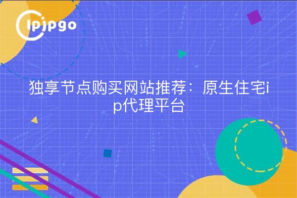 独享节点购买网站推荐:原生住宅ip代理平台