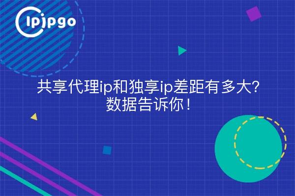 共享代理ip和独享ip差距有多大?数据告诉你!