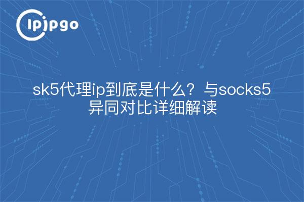 sk5代理ip到底是什么?与socks5异同对比详细解读