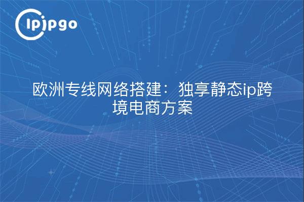 欧洲专线网络搭建:独享静态ip跨境电商方案