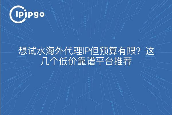 想试水海外代理IP但预算有限?这几个低价靠谱平台推荐