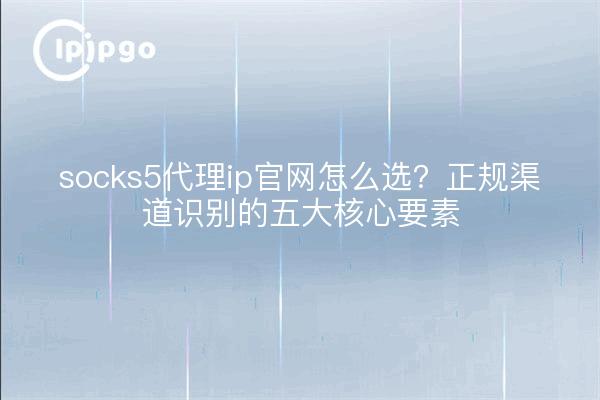 socks5代理ip官网怎么选？正规渠道识别的五大核心要素