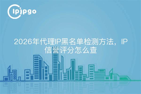 2026年代理IP黑名单检测方法，IP信誉评分怎么查