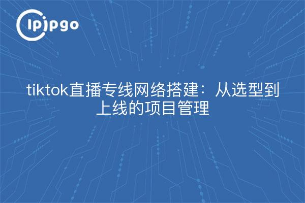 tiktok直播专线网络搭建：从选型到上线的项目管理