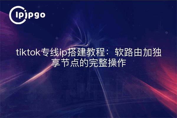 tiktok专线ip搭建教程：软路由加独享节点的完整操作