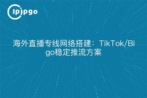 海外直播专线网络搭建：TikTok/Bigo稳定推流方案