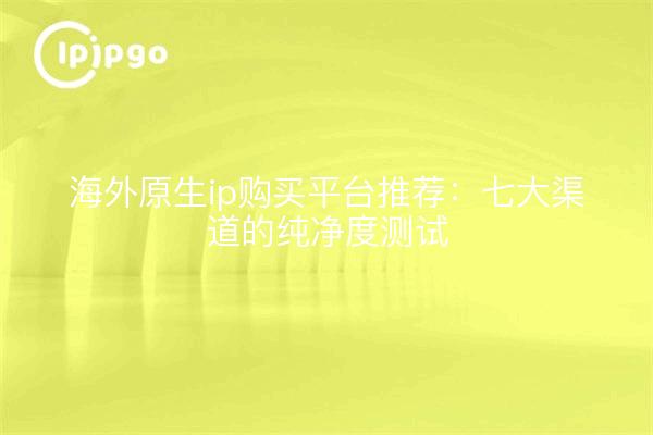 海外原生ip购买平台推荐:七大渠道的纯净度测试