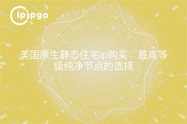 美国原生静态住宅ip购买：最高等级纯净节点的选择