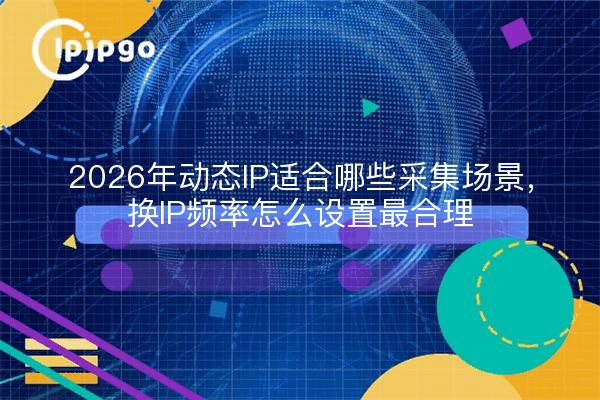 2026年动态IP适合哪些采集场景，换IP频率怎么设置最合理