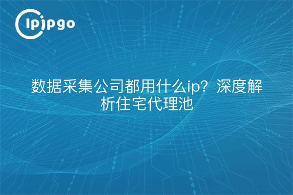 数据采集公司都用什么ip？深度解析住宅代理池