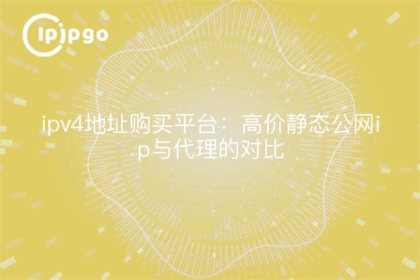 ipv4地址购买平台：高价静态公网ip与代理的对比