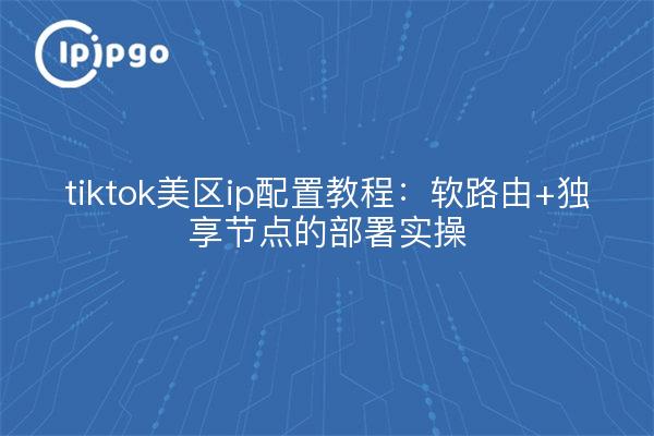tiktok美区ip配置教程:软路由+独享节点的部署实操
