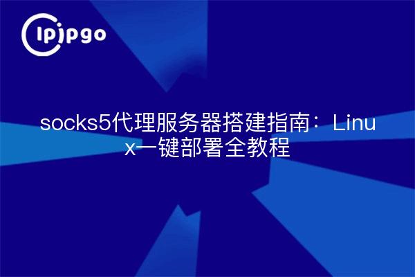 socks5代理服务器搭建指南:Linux一键部署全教程